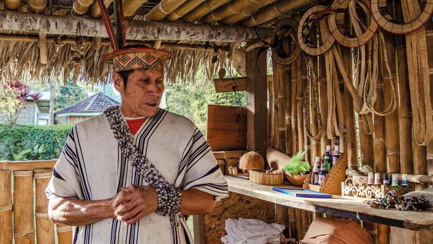 Desde el río Napo. Macondo