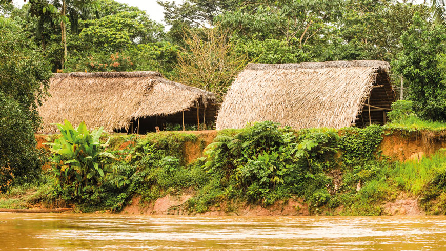 Desde el río Napo. Hermana Lluvia