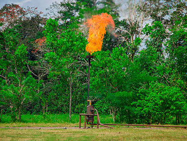 Mechero en el Amazonas