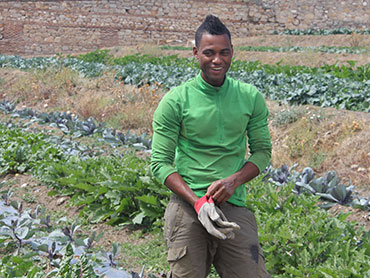 Un respiro en la huerta