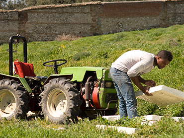 Trabajo en la huerta